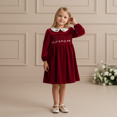 Isabeau Velvet Dress